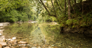 Rio com pedras e água transparente na Garfagnana