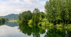 vista do rio serchio com vegetação densa na margem
